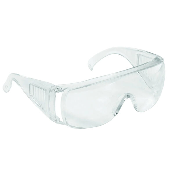 Eckman Clear Protective Safety Goggles