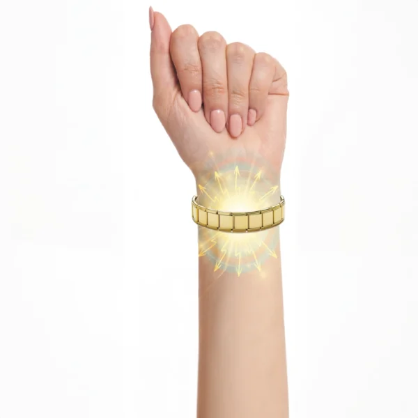 Biomedical Bracelet