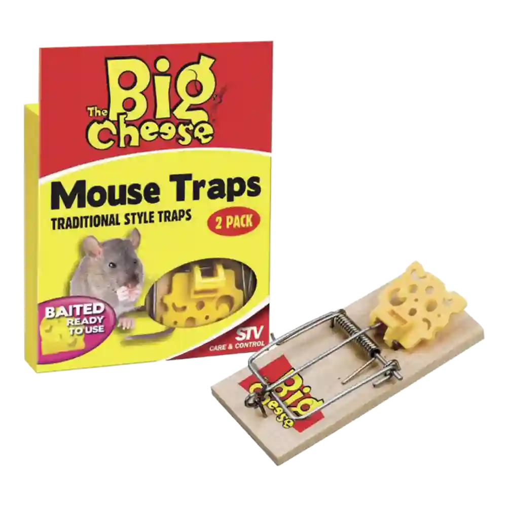 The Big Cheese Mouse Trap - Set of 2