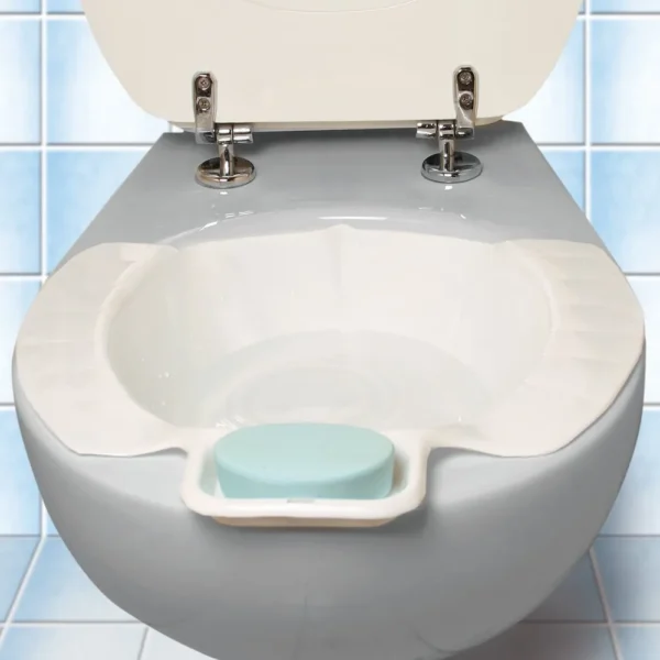 Bidet Insert for Toilets