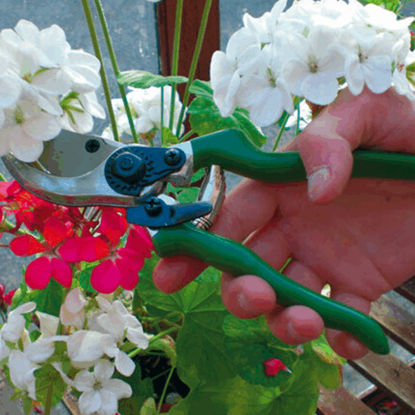 Bypass Pruning Secateur