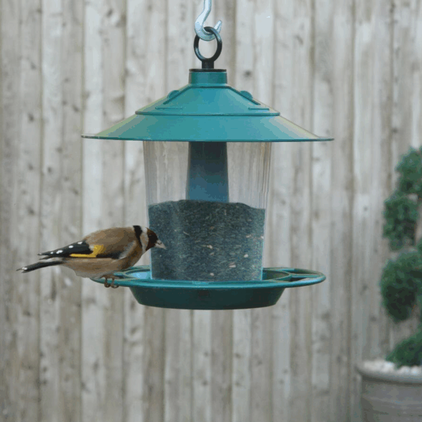 Lantern Bird Seed & Nut Feeder - Image 4