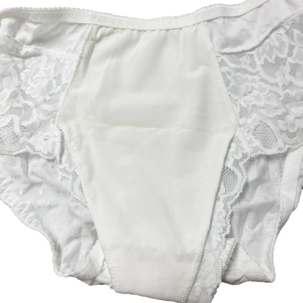 Incontinence Briefs